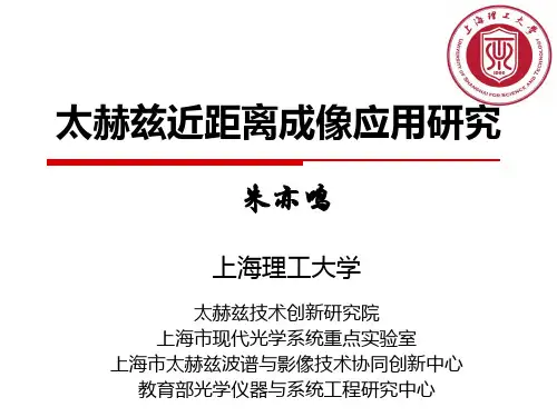 太赫兹近距离成像应用研究
