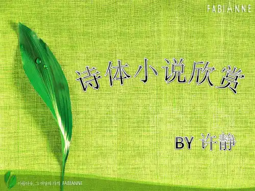 诗化小说欣赏
