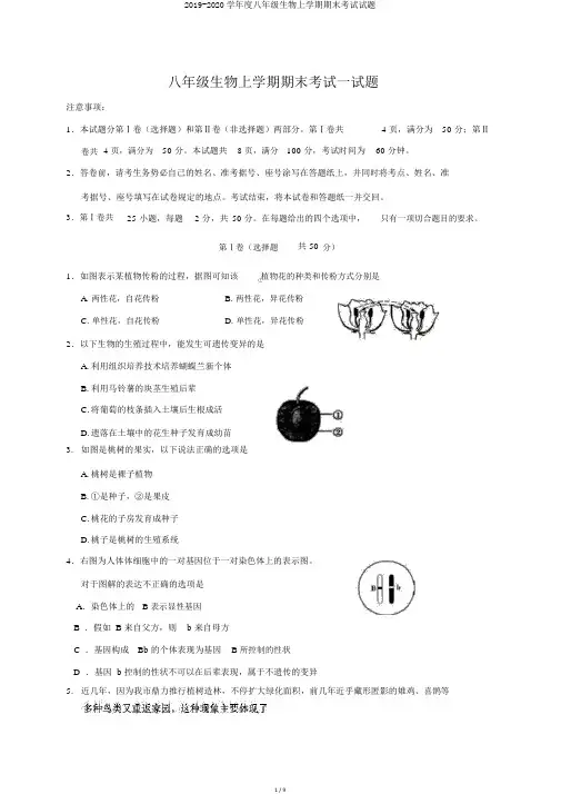 2019-2020学年度八年级生物上学期期末考试试题