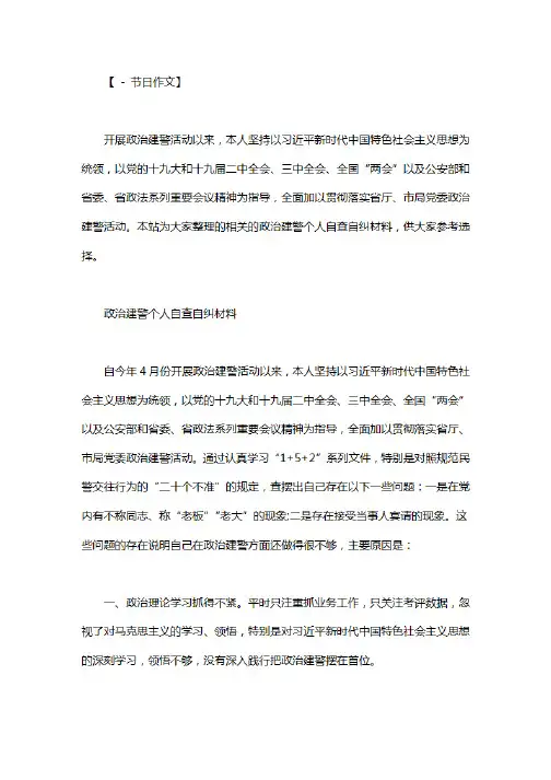 政治建警个人自查自纠材料
