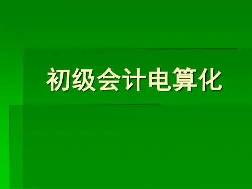 初级会计电算化讲义课件