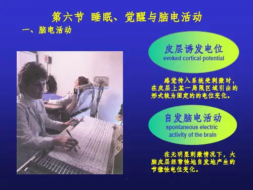 睡眠机制与睡眠障碍