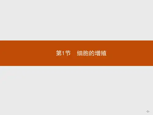 2019-2020学年高中生物人教版必修1课件：第6章 第1节 细胞的增殖 