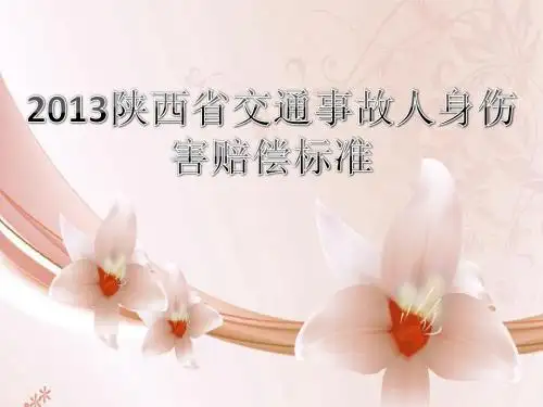 2013陕西省交通事故人身伤害赔偿标准