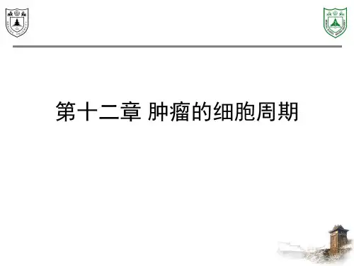 第12章：肿瘤的细胞周期