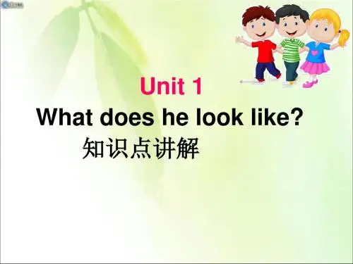 Unit 1What does he look like 知识点讲解 