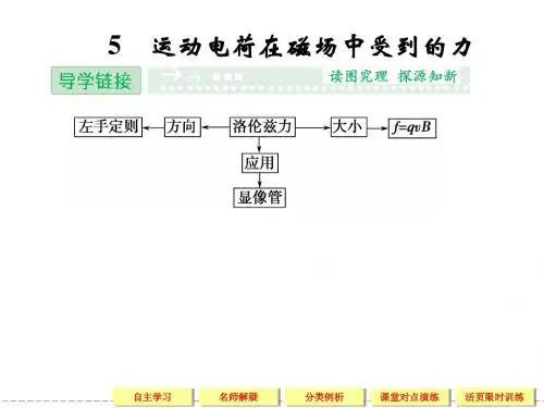 【创新设计】2013-2014学年高中物理人教版选修3-1第3章3-5运动电荷在磁场中受到的力