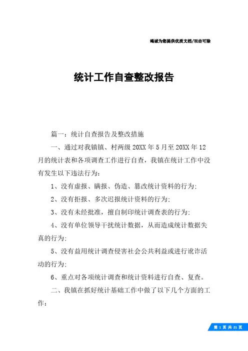 统计工作自查整改报告