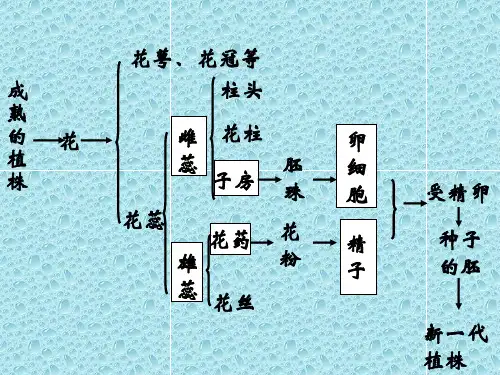 生物结构图