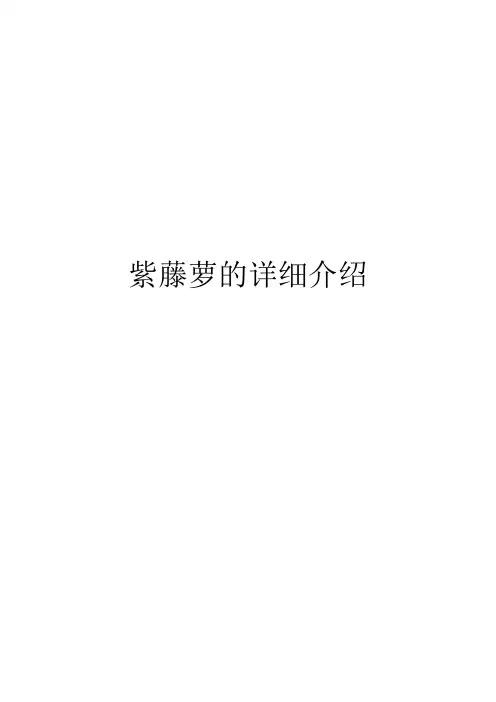 大花蕙兰的养殖方法和注意事项 2