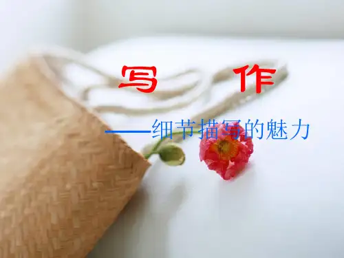 初中作文指导：写作——细节描写的魅力