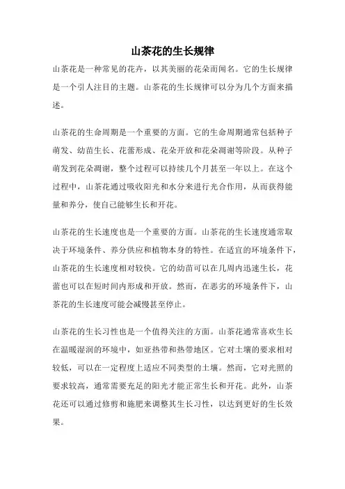 山茶花的生长规律