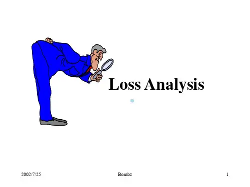 LossAnalysis效率分析