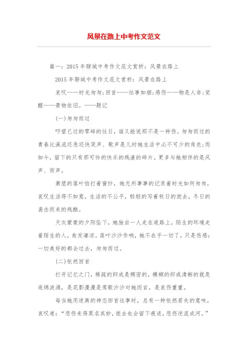 风景在路上中考作文范文
