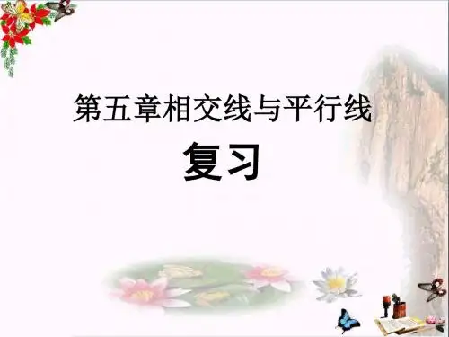复习 相交线与平行线PPT优秀课件