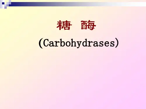 糖酶