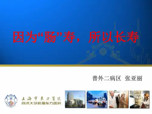 关注肠道健康