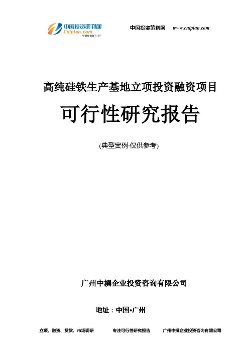 高纯硅铁生产基地融资投资立项项目可行性研究报告(中撰咨询)