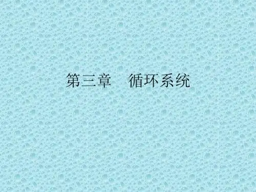 x线片快速入门(3)