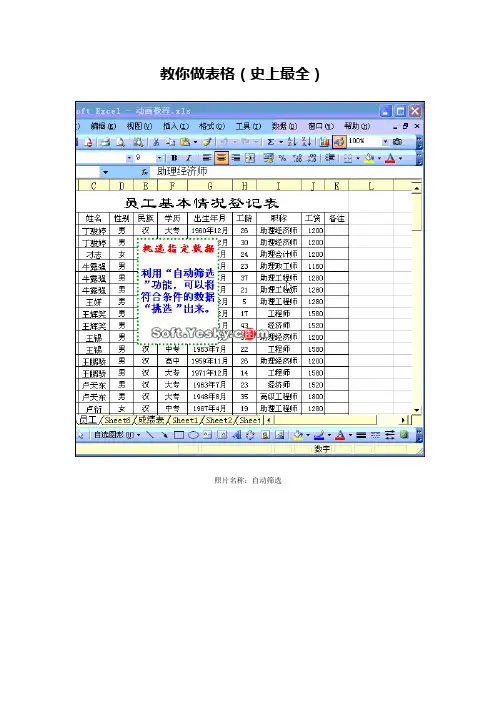 EXCEL教程大全(教你做表格)