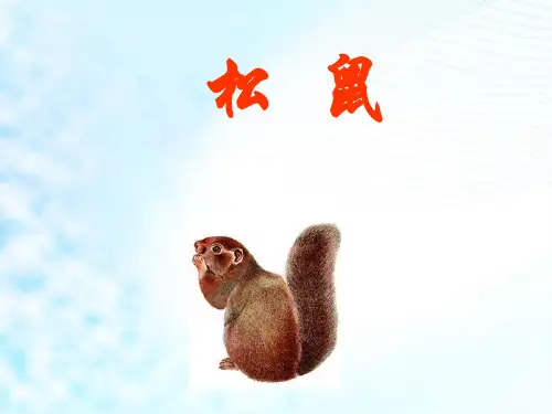 部编人教版小学五年级上册语文《松  鼠》课件