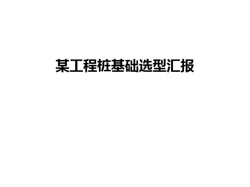 【管理资料】某工程桩基础选型汇报汇编