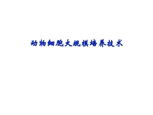 动物细胞大规模培养技术