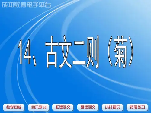 菊