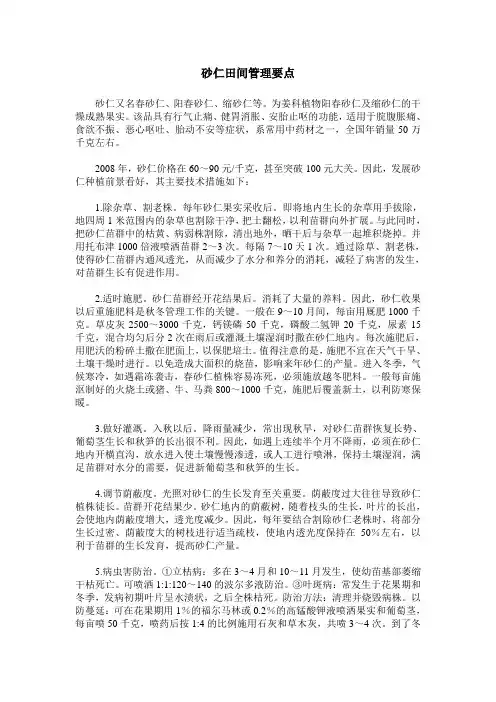 砂仁田间管理要点
