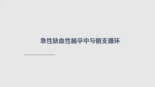 侧支循环PPT课件