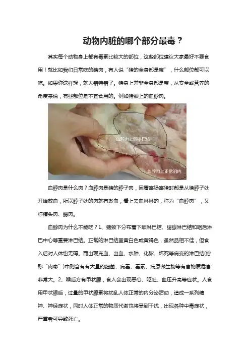 动物内脏的哪个部分最毒？