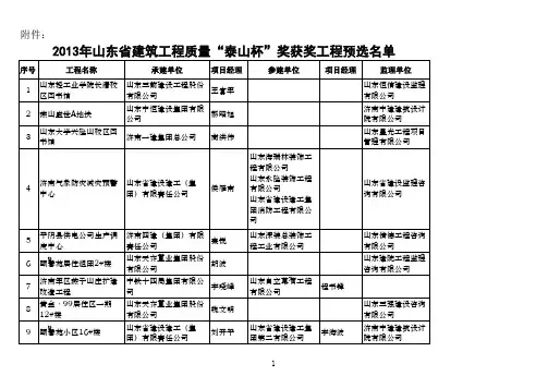 2013年度泰山杯获奖名单