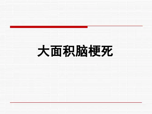 大面积脑梗死