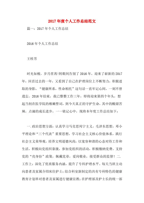 2017年度个人工作总结范文