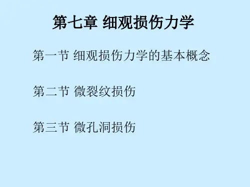 细观损伤力学