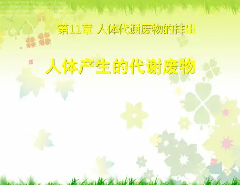 《人体产生的代谢废物1》课件