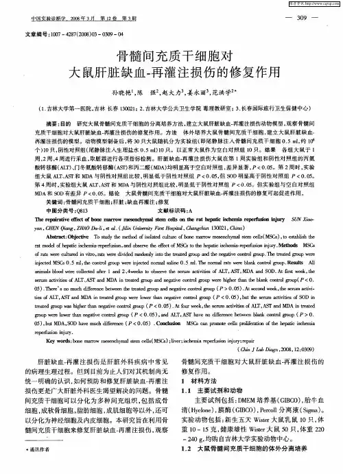 骨髓间充质干细胞对大鼠肝脏缺血-再灌注损伤的修复作用