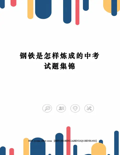 钢铁是怎样炼成的中考试题集锦完整版