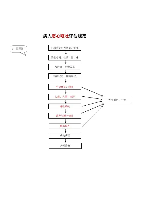 恶心呕吐的评估