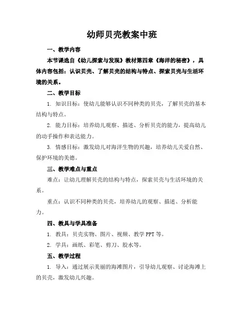 幼师贝壳教案中班