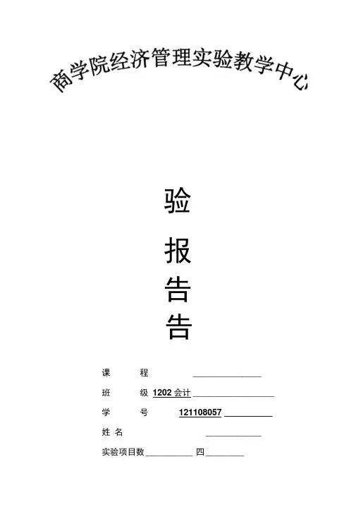 审计学实验报告
