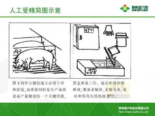 经典人工受精
