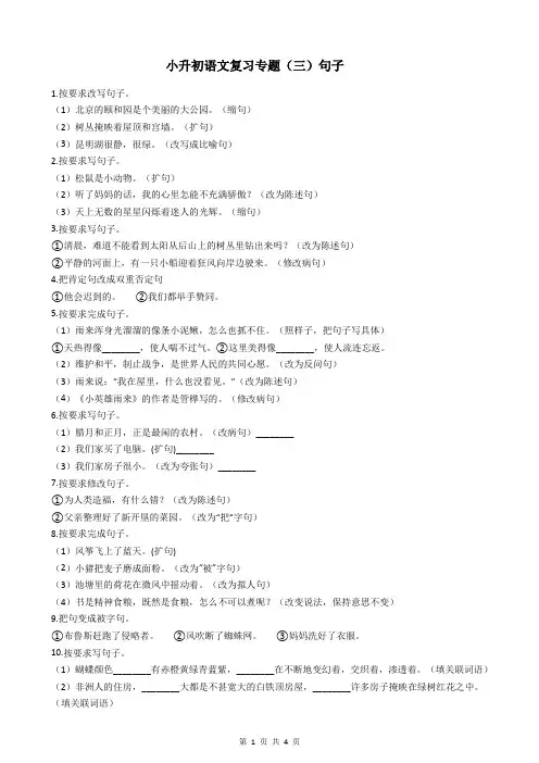 小升初语文复习专题(三)句子
