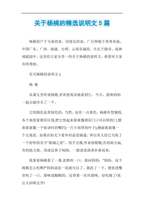 关于杨桃的精选说明文5篇