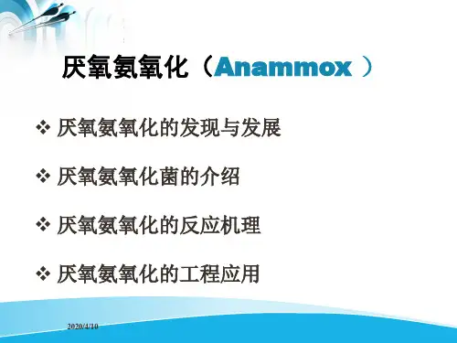 厌氧氨氧化的简介——李权全解