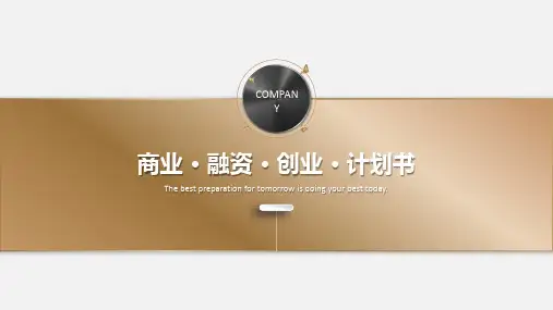 高端大气公司介绍商业计划书PPT模板