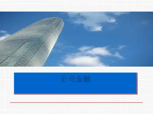 公司金融概述PPT(共 50张)