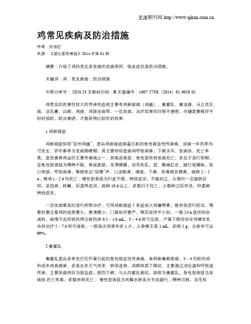 鸡常见疾病及防治措施