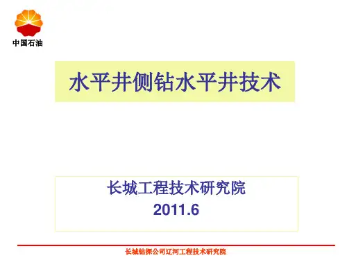 水平井侧钻水平井技术