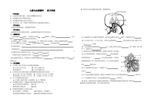 心脏与血液循环_复习学案1